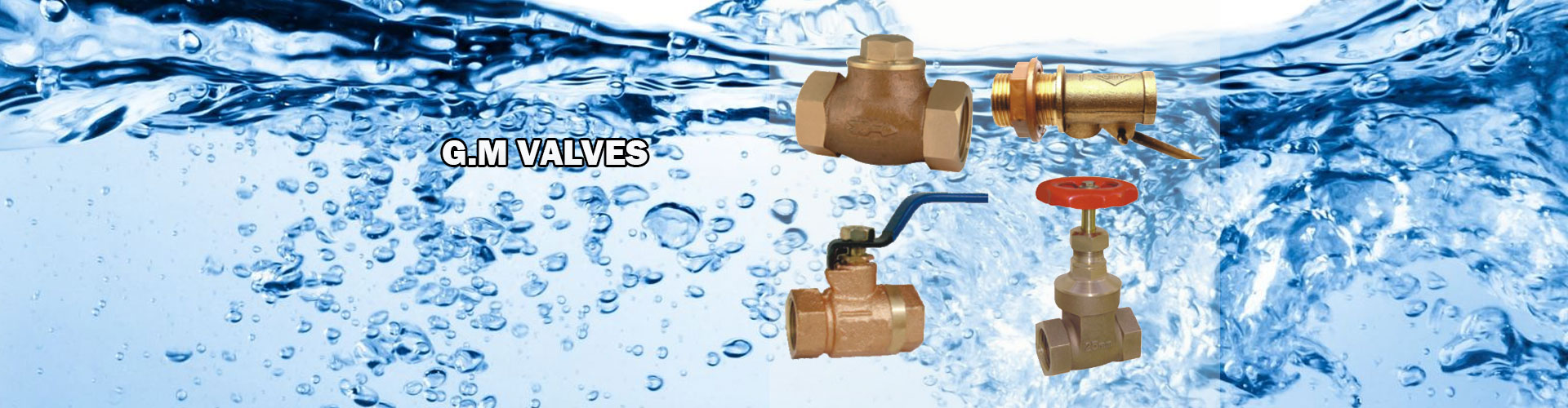 GM VALVE